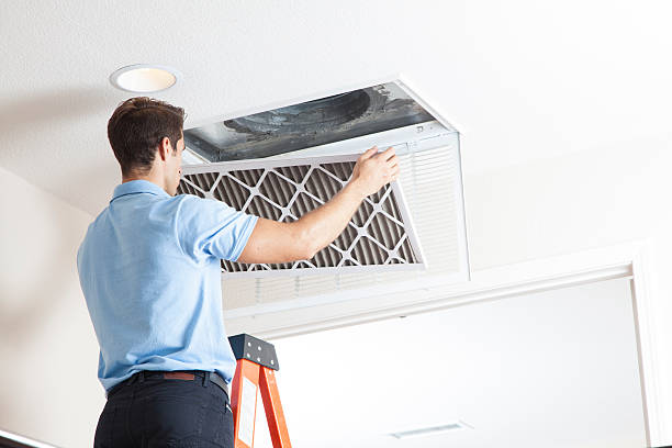 Best Solar-powered HVAC Systems in Griggsvle, IL